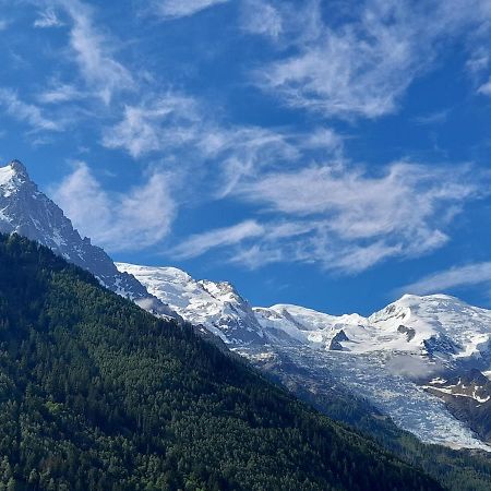Le Petit Balcon Avec Vue Sur Le Mont-Blanc 2 Etoiles Leilighet Chamonix Eksteriør bilde